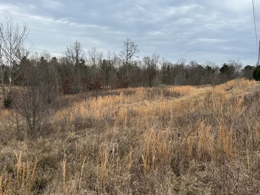 2 Acres in Tate County, MS