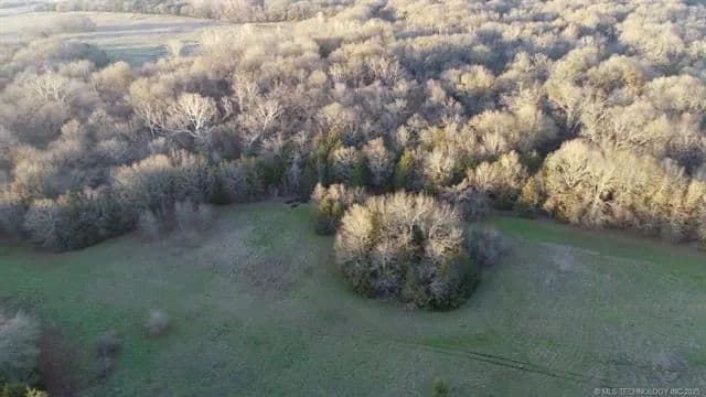 60 Acres of Hunting Haven in Durant, Oklahoma!