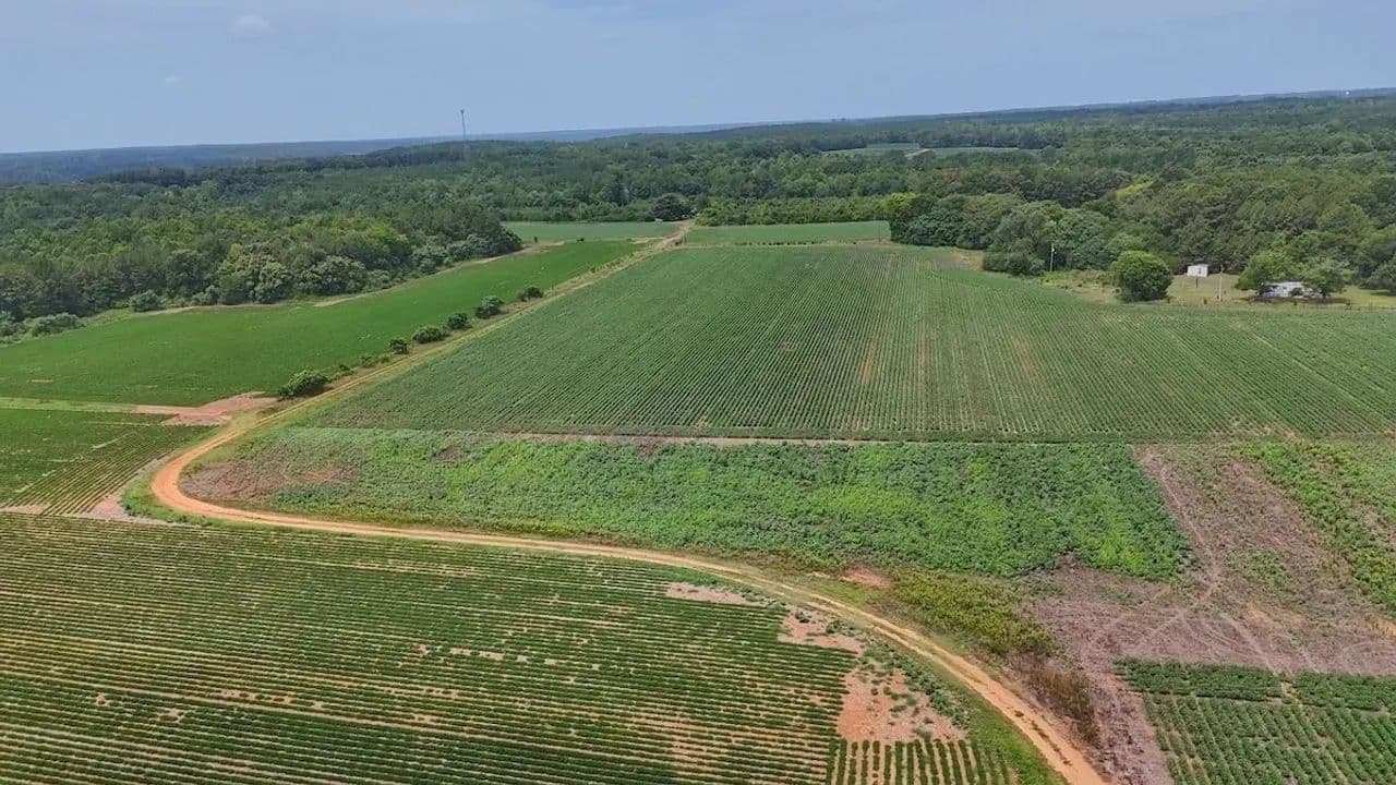 10 acres of Agriculture Land for Sale in Northampton County, NC! - Gaston, North Carolina, 27832
