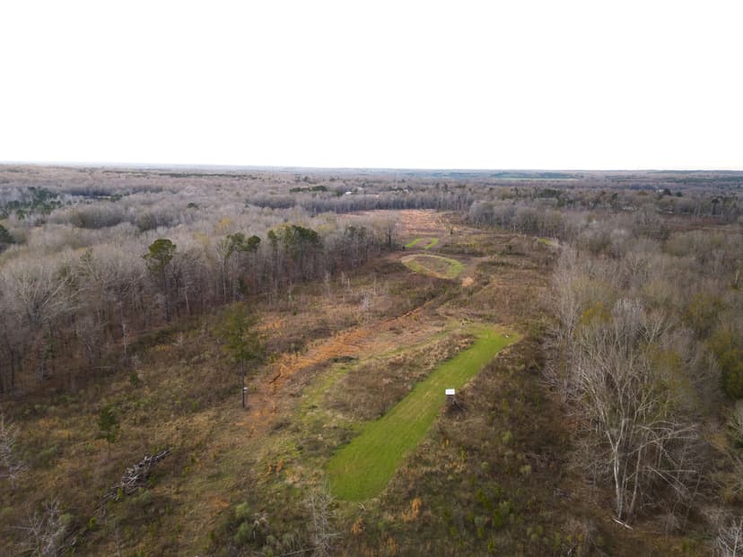 130 Acres with a Cabin in Claiborne County, MS