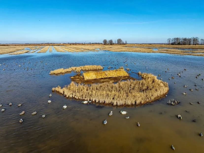 513 +/- Excellent Row Crop, Duck & Goose Hunting Property, Cross County, Arkansas