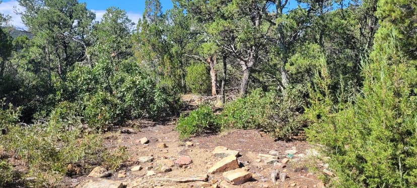 32200 Vista View Rd, Aguilar, CO 81020