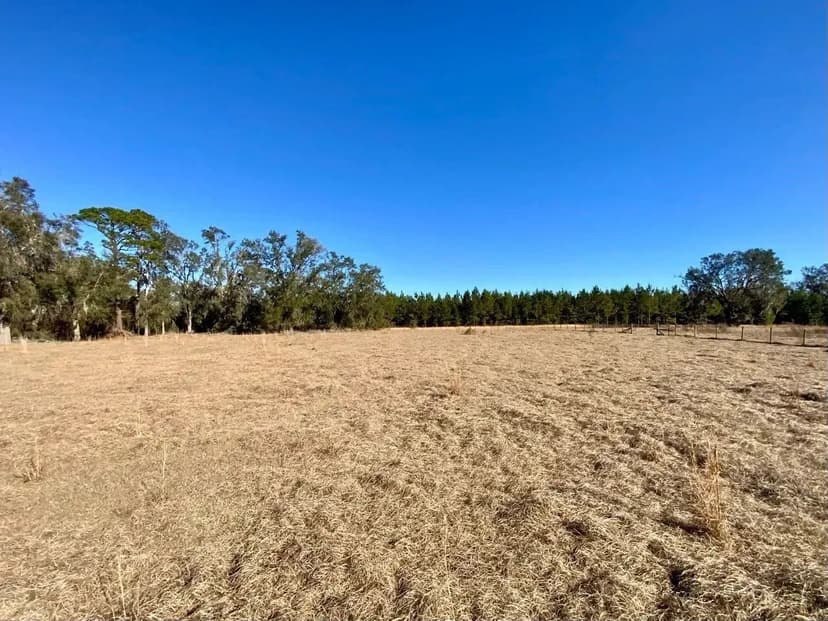 39.19 Acres on Captain Brown Rd.