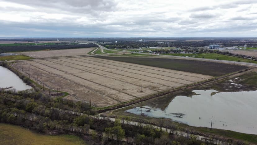 190 Acres Marked Tree