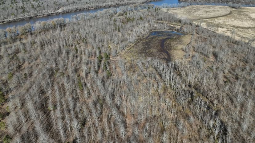 Duck and Deer Hunting Land with a Camp Spot for Sale