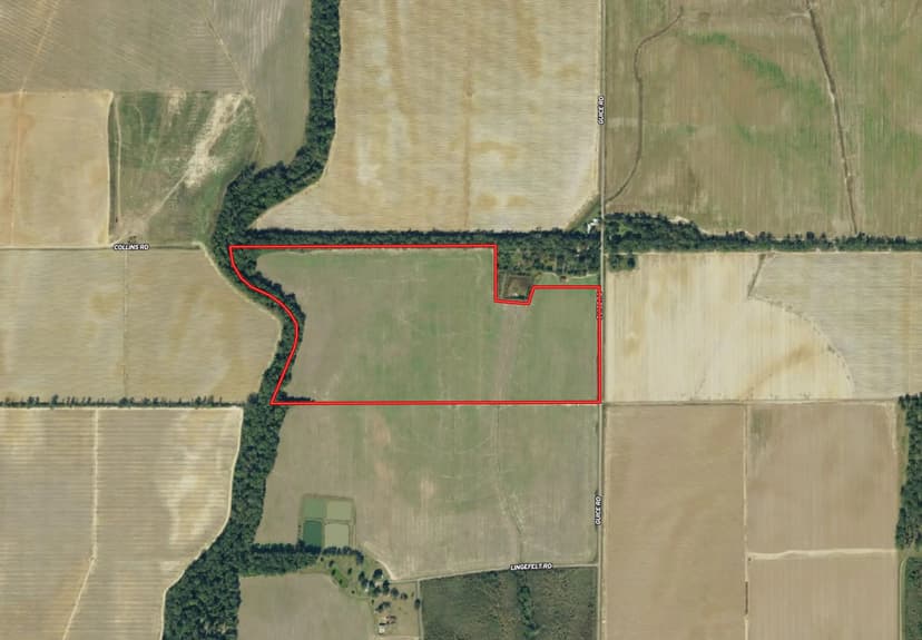 LA - West Carroll 76 acres +/-