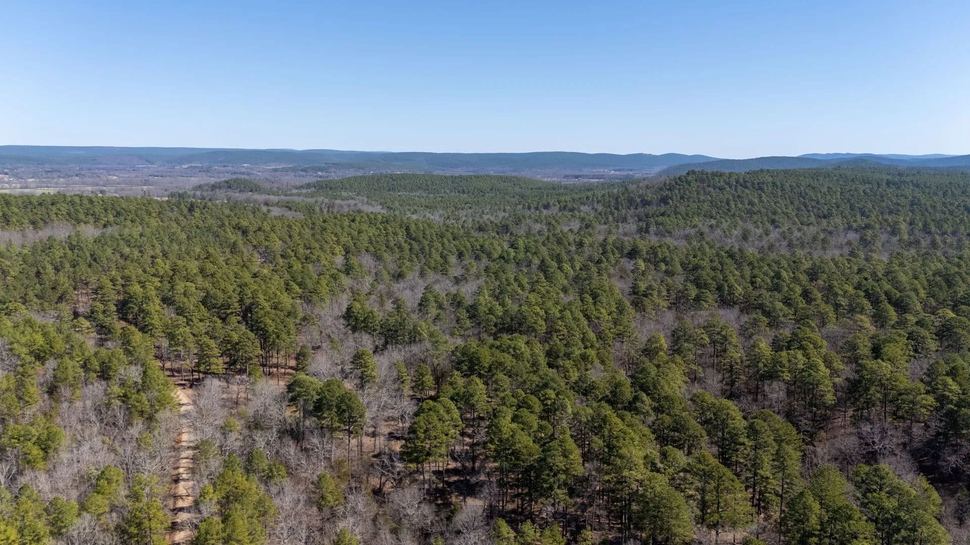 Ouachita Forest 148 - Waldron, Arkansas, 72958