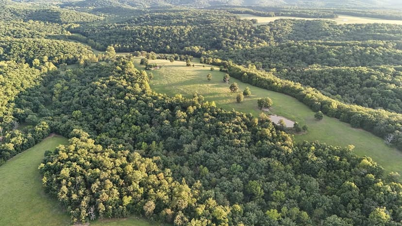 240± Acre Property with Beautiful Setting & Recreational Opportunities for Sale – Camden County