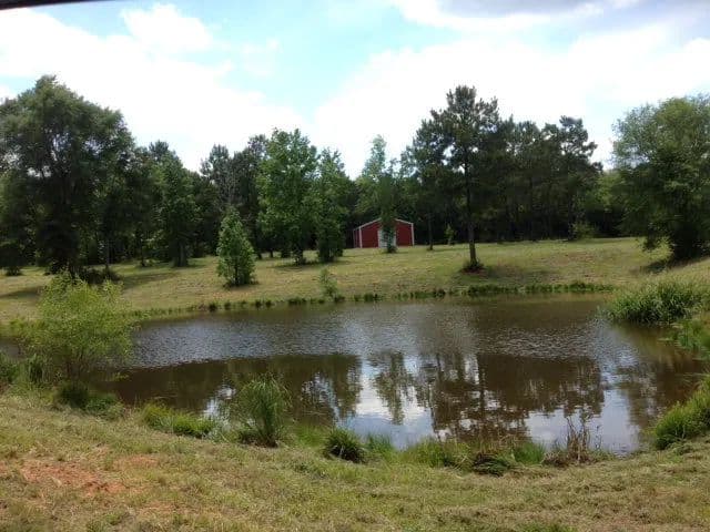 Cabin on 39.45 Acres | Poplarville, MS