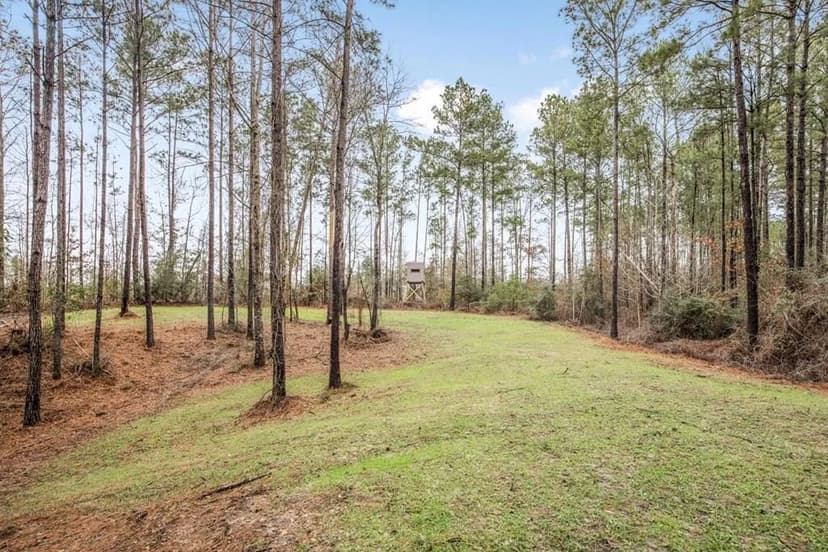 100 Acres in West Feliciana with 2 Bed/1 Bath Camp 