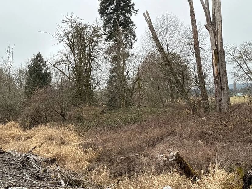 13.90 acres in Centralia