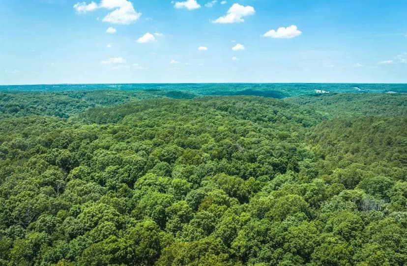 Huckleberry Ridge 25