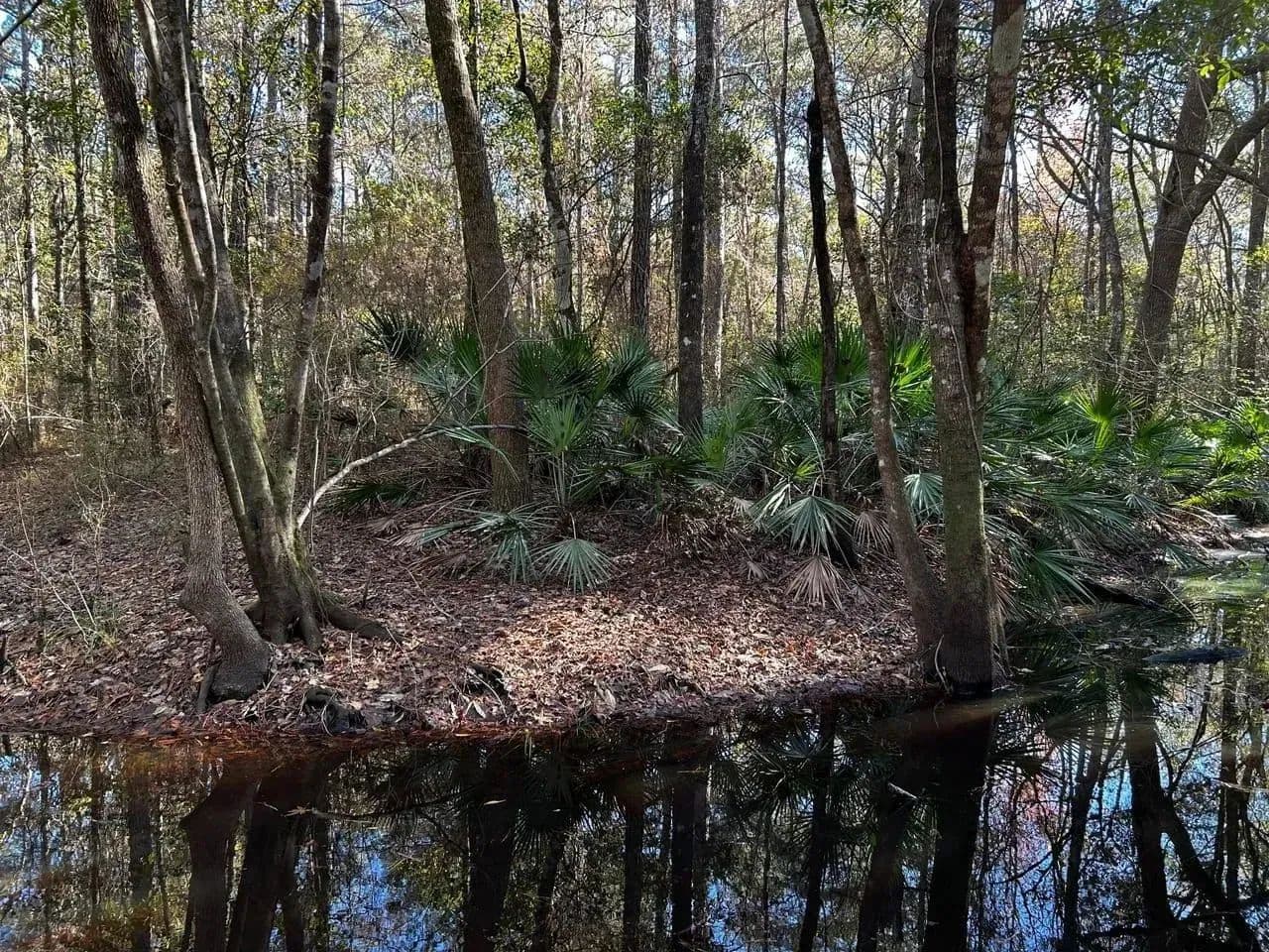 Ochlockonee River Place in Tallahassee, Florida - photo 15
