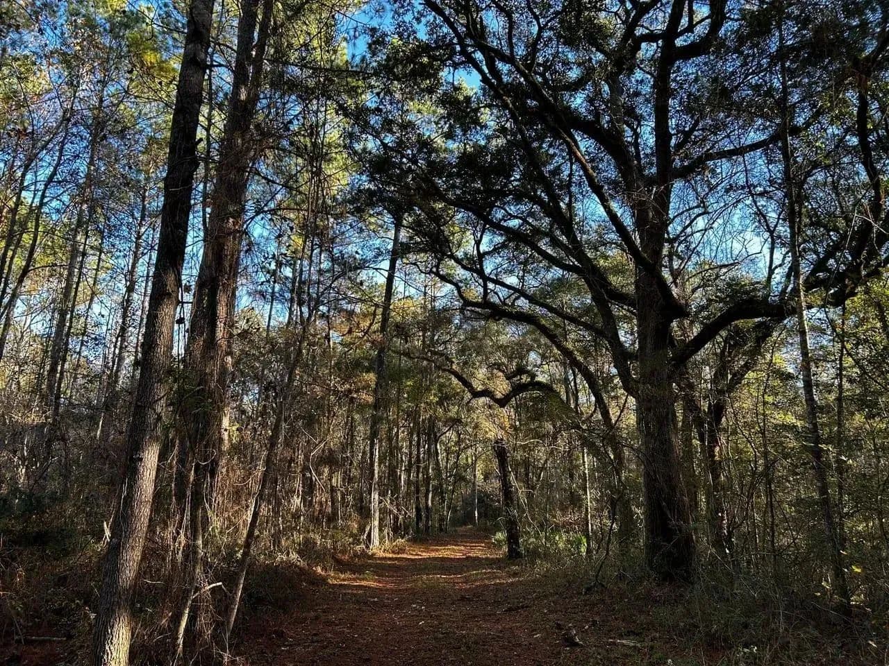 Ochlockonee River Place in Tallahassee, Florida - photo 9