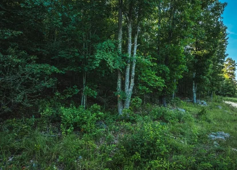 Aldrich Valley Acres