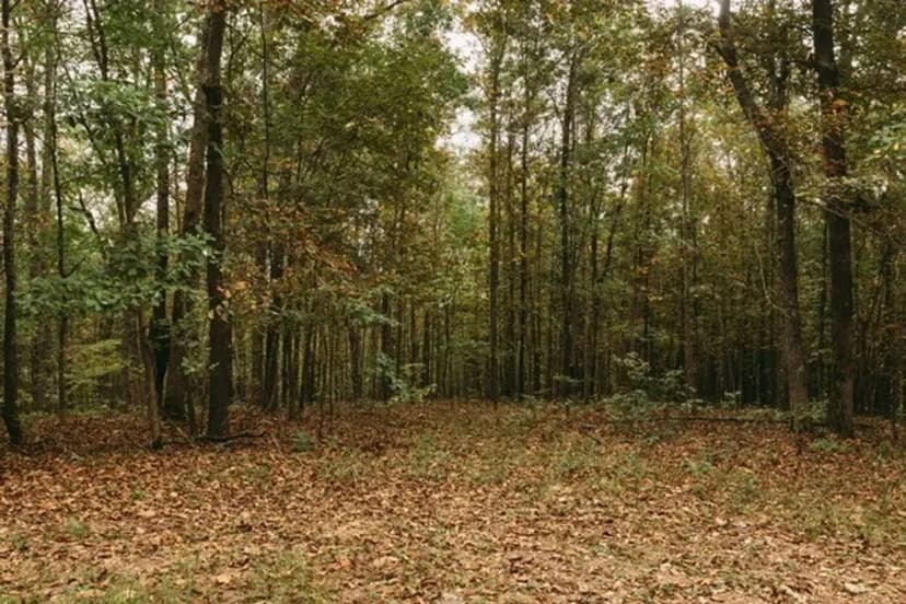 Bluebird Lot Near Clearwater lake