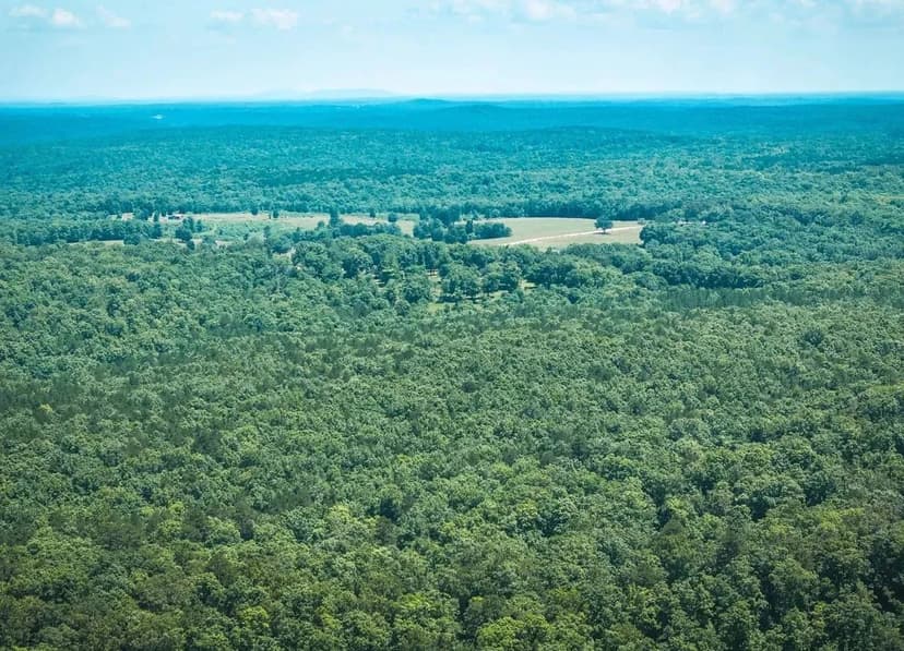 Land &amp; Timber 92