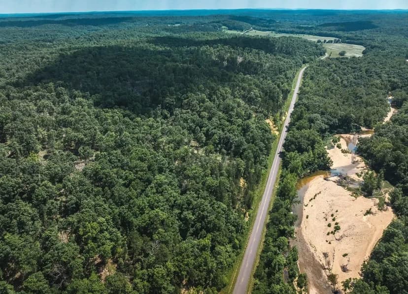 Land &amp; Timber 31