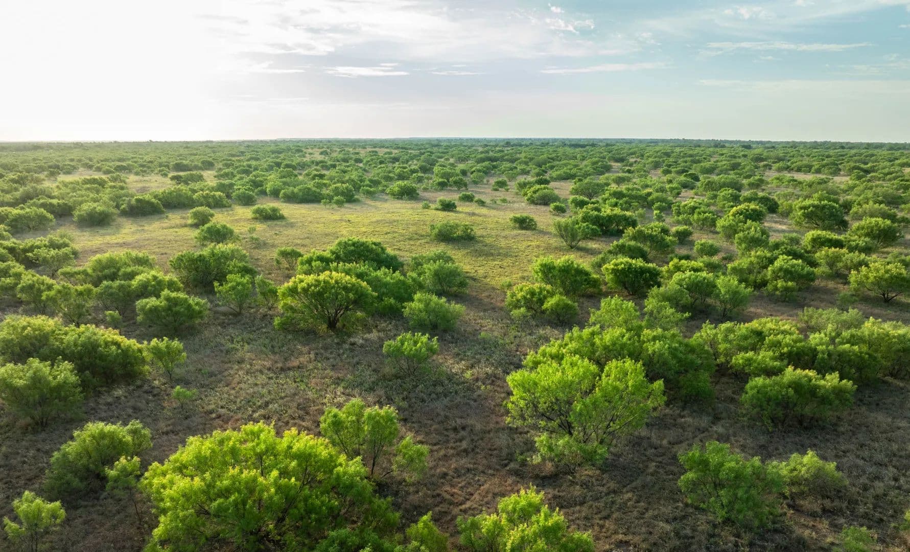 North Fork Draw Ranch - Paducah, Texas, 79248