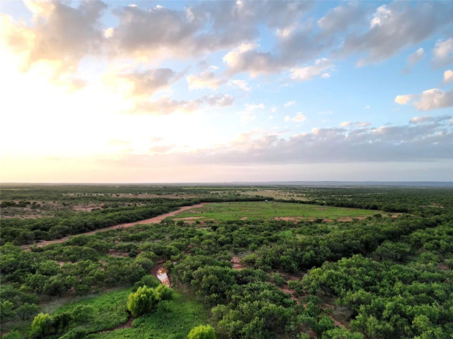 New Listing!!! 213+/- Ac & Cabin, Taylor County - Ovalo, Texas, 79541