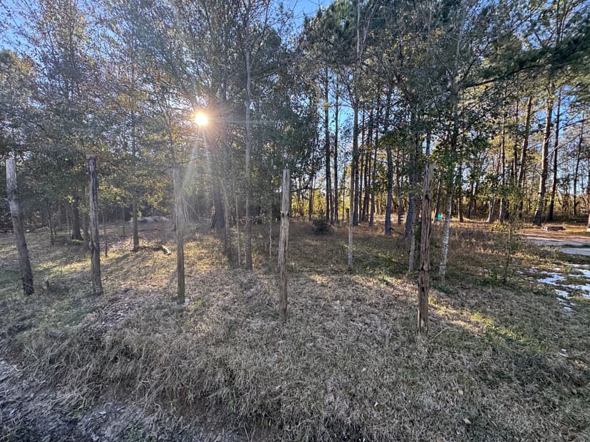 0.32 Acre Lot #5 in Jackson County, MS 