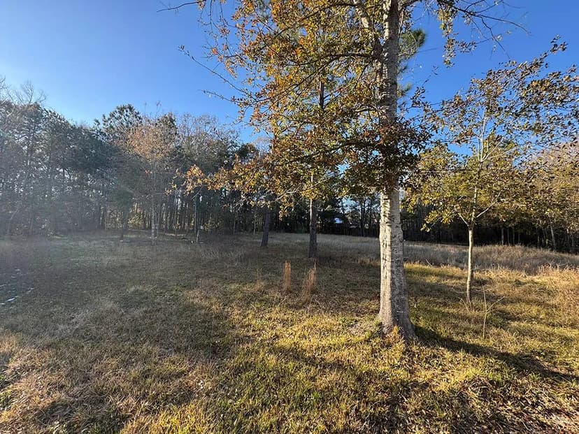 0.32 Acre Lot #9 Jackson County, MS