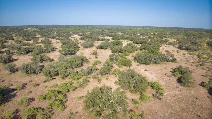 300 Acres NW Menard Co