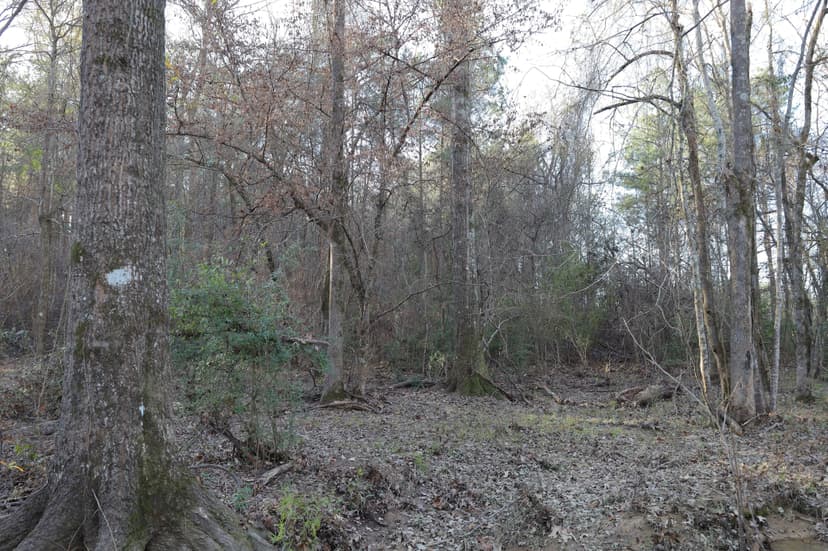 LA - Caldwell 21 acres +/-