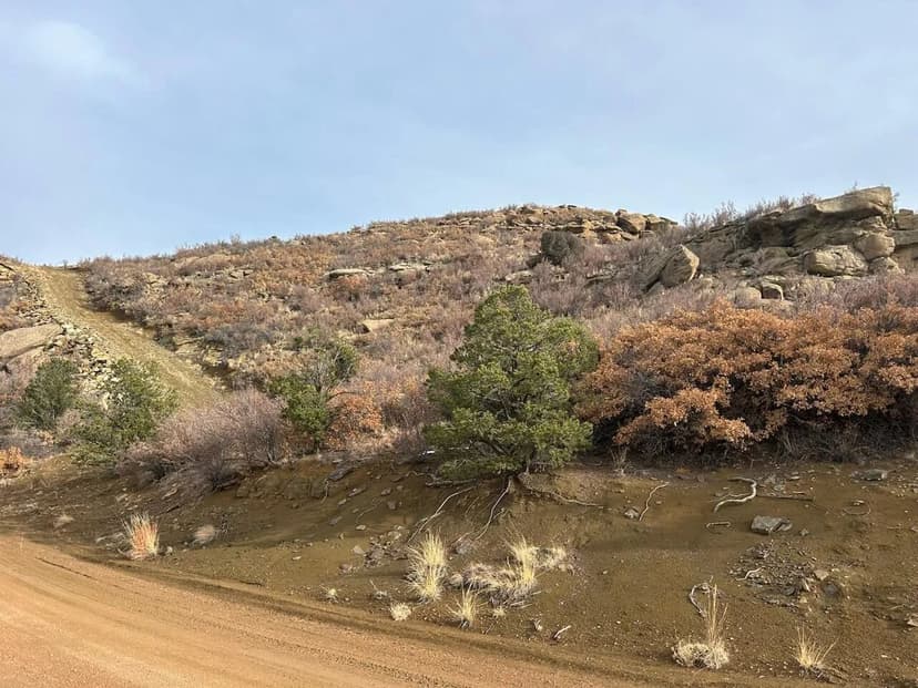 TBD Primero Ranch Rd, Weston, CO 81091