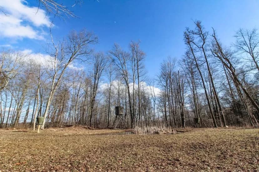 Pleasant Valley Rd - 33 acres - Muskingum County