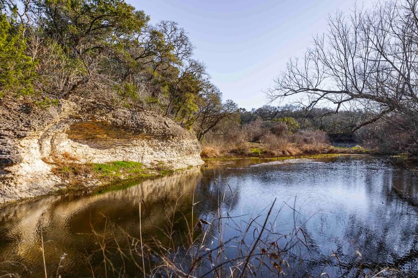 Creekside Sanctuary in Manchaca