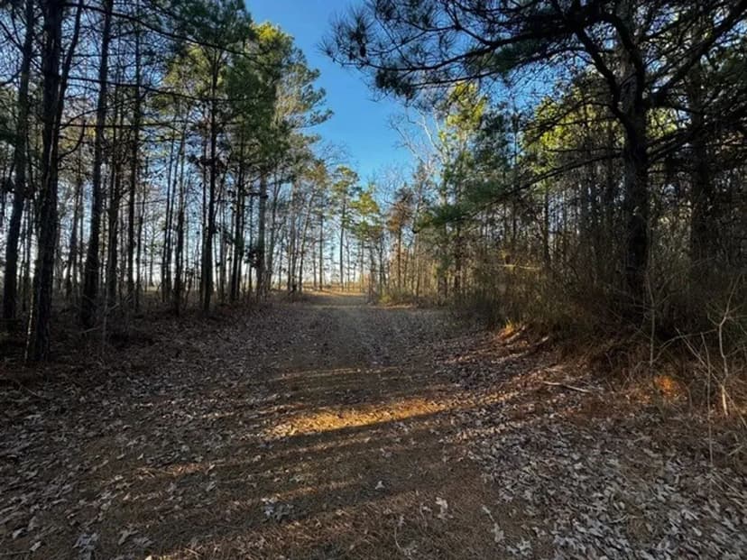 56.5 Acres Redfield, AR