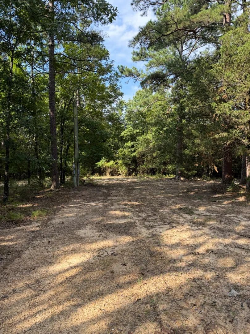 20 Acres in Polk County, AR - Mena, Arkansas, 71953
