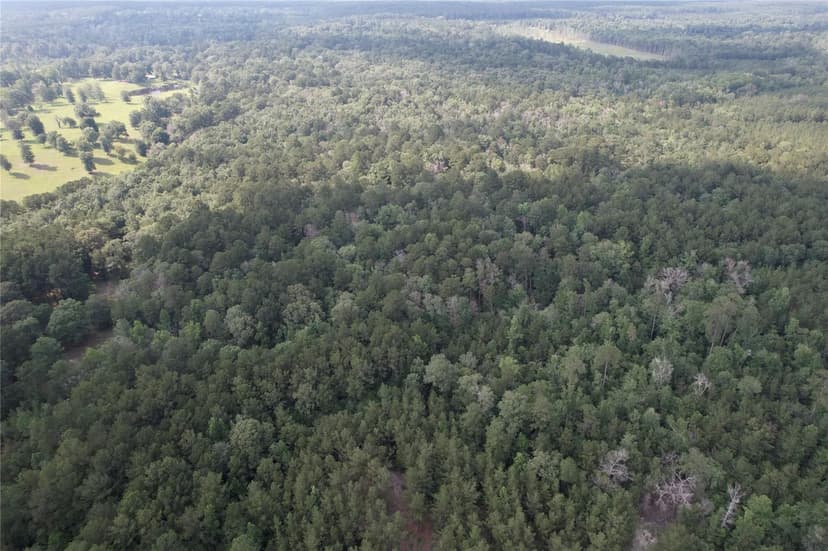 0 CR 1200, Hemphill, Texas, 75948