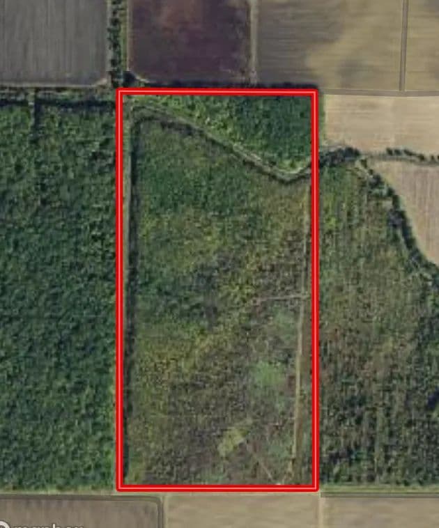 LA - Franklin 80 acres +/-