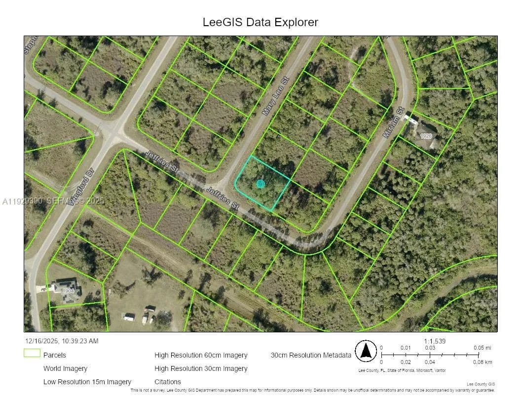 Vacant Land in Lehigh Acres - Lehigh Acres, Florida, 33972