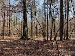 LA - La Salle 35 acres +/-