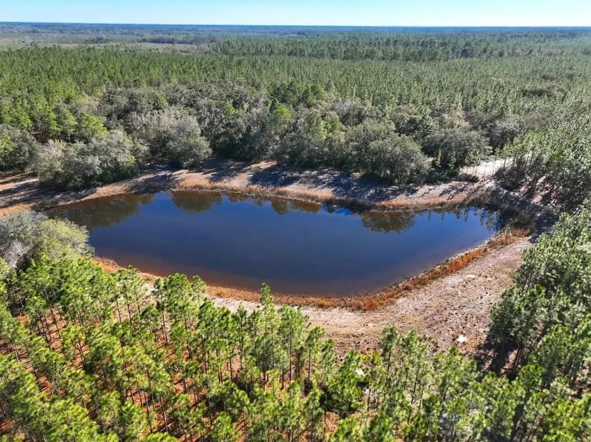 380+/- Acre Timberland with a Pond for Sale in Camden County, GA