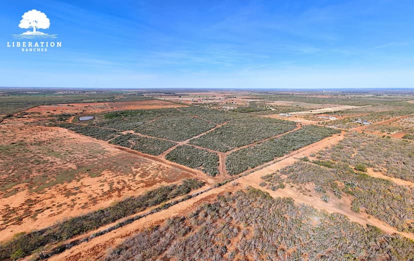 JOURDANTON 101 Tract 8 | 11+ Acres | Only $15K Down