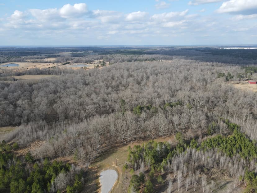 25.61 Acres in Madison County, MS 