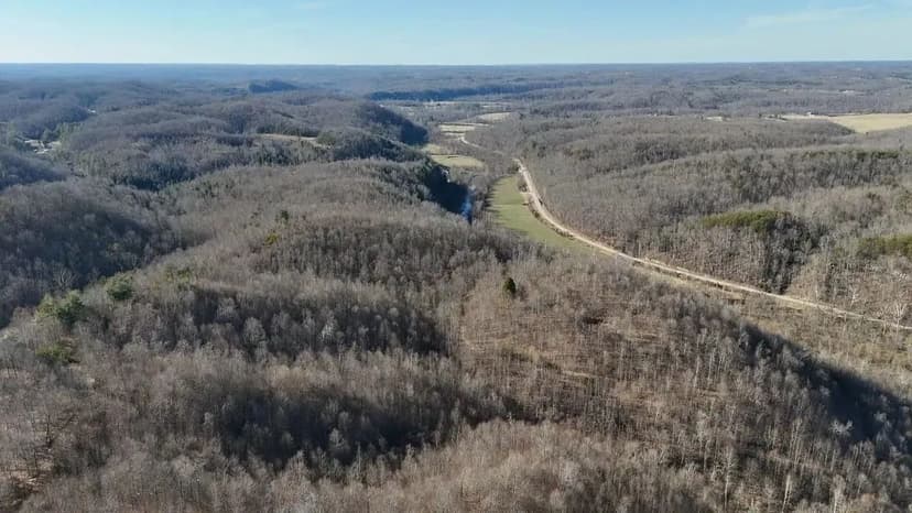 165 +/- acres Lee County, KY