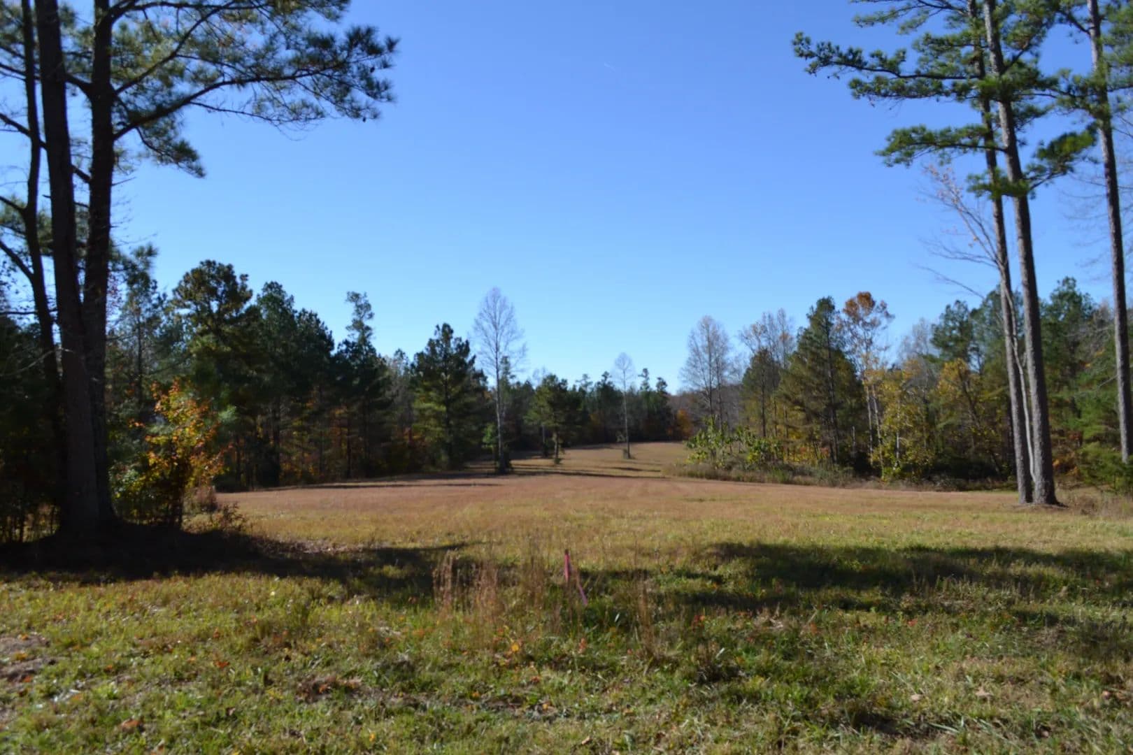 28.30 AC Surveyed W/ UTILITES INSTALLED / POND / NO RESTRICTIONS / 18 AC CLEARED TO BUILD - Red Boiling Springs, Tennessee, 37150