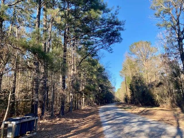 Cabin on 53 Acres | Summit, MS