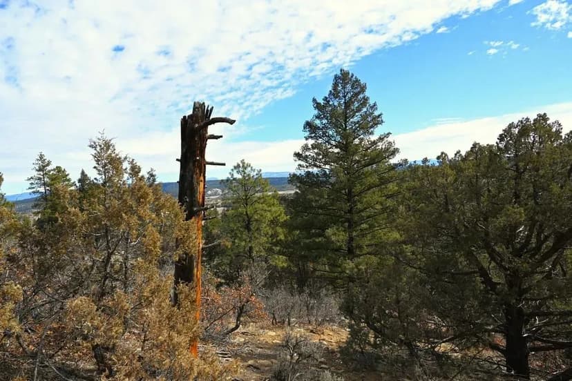 00  Rd Cr 322 Unit D-1 Lot 11 Cr 322 El Poso