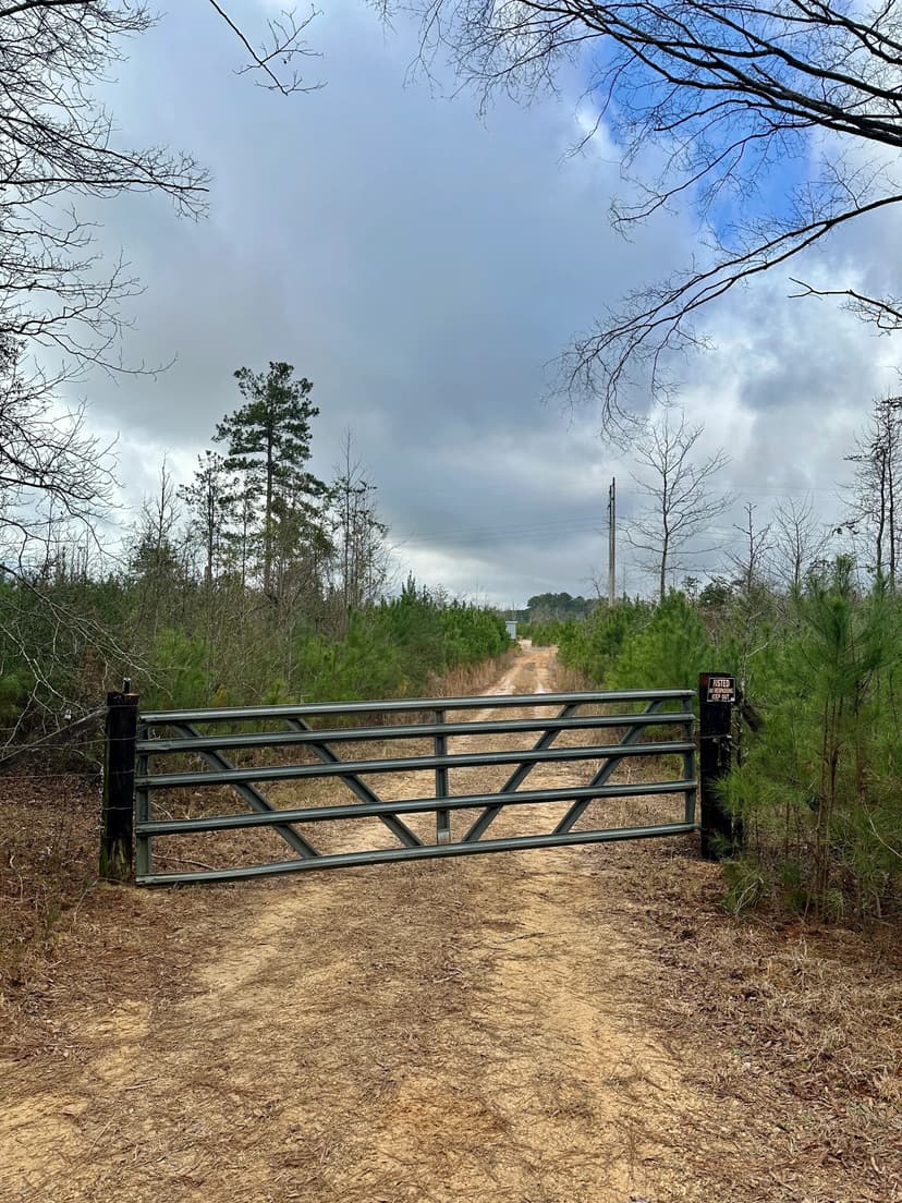 127 Acres in Jasper County, MS 