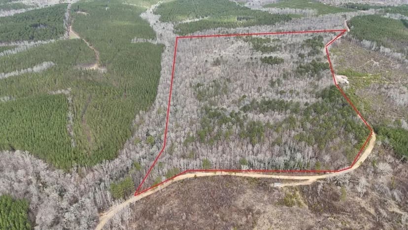 82+/- Acres in Marion Co., AL