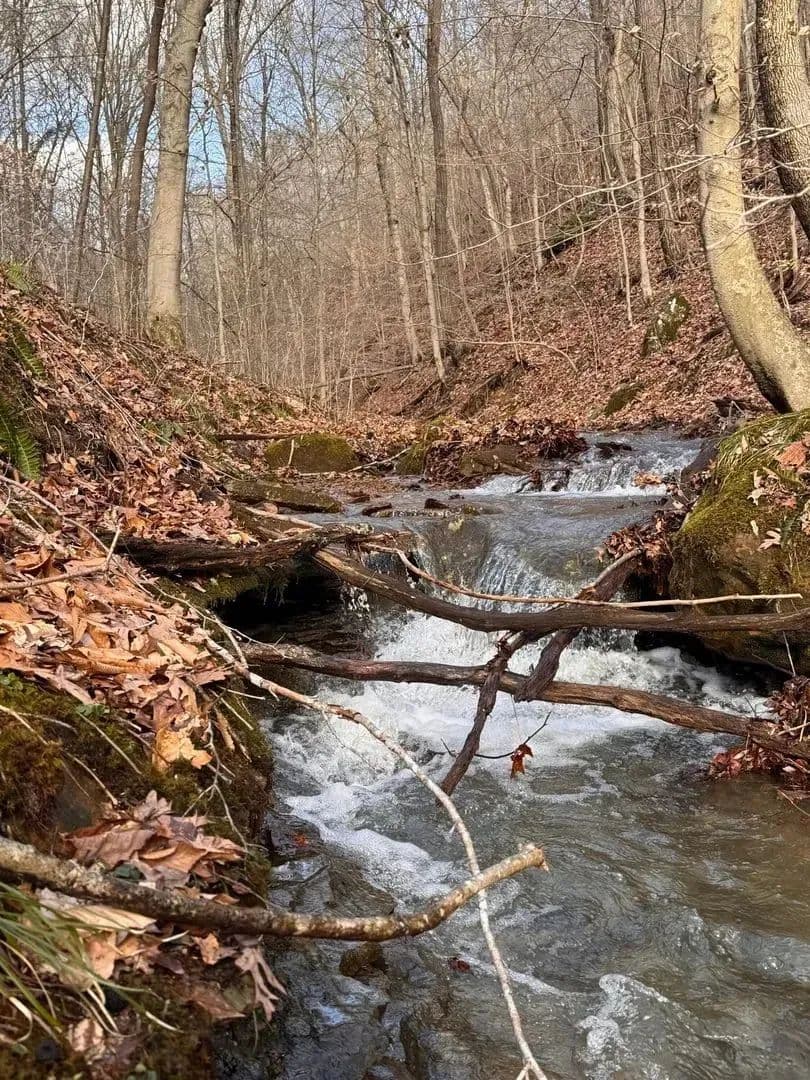 38.5 +/- Acres in Greenup County