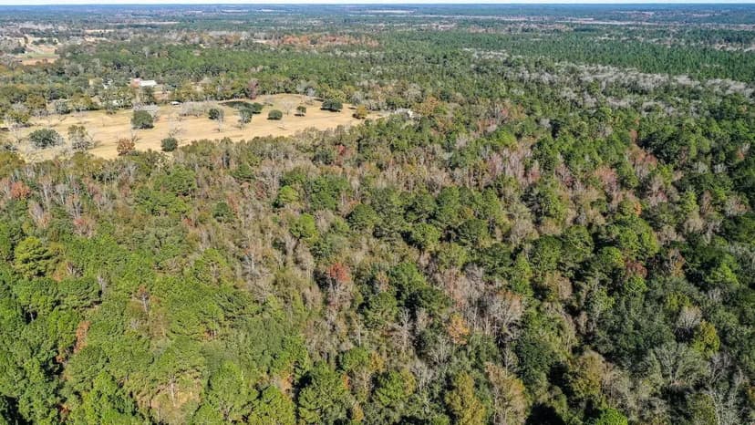 Jackson County 79 Acres