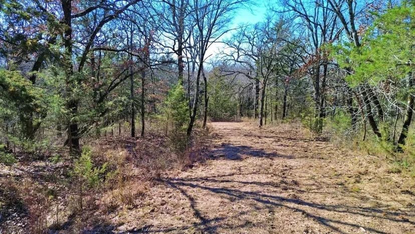 Wooded land for sale north of Muenster, TX