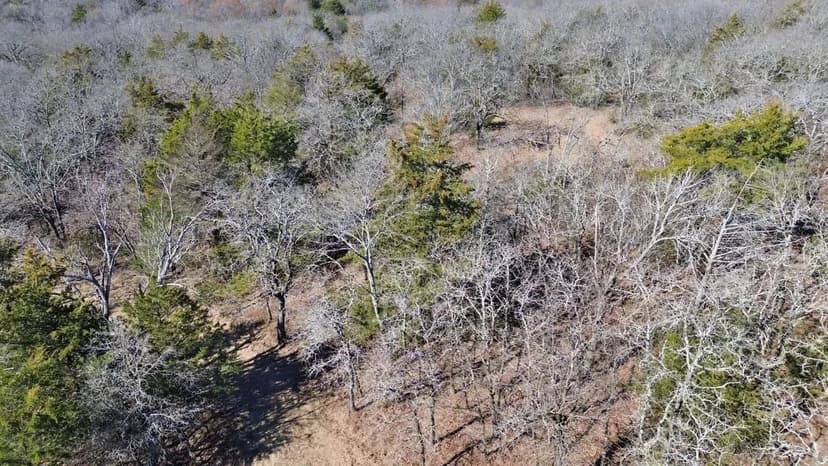 28.48 wooded acres in the North Texas Hill Country